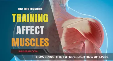Strength Training: Unraveling the Science Behind Muscle Growth