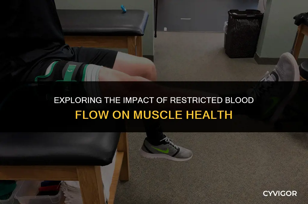 how does restricted blood flow affect muscles