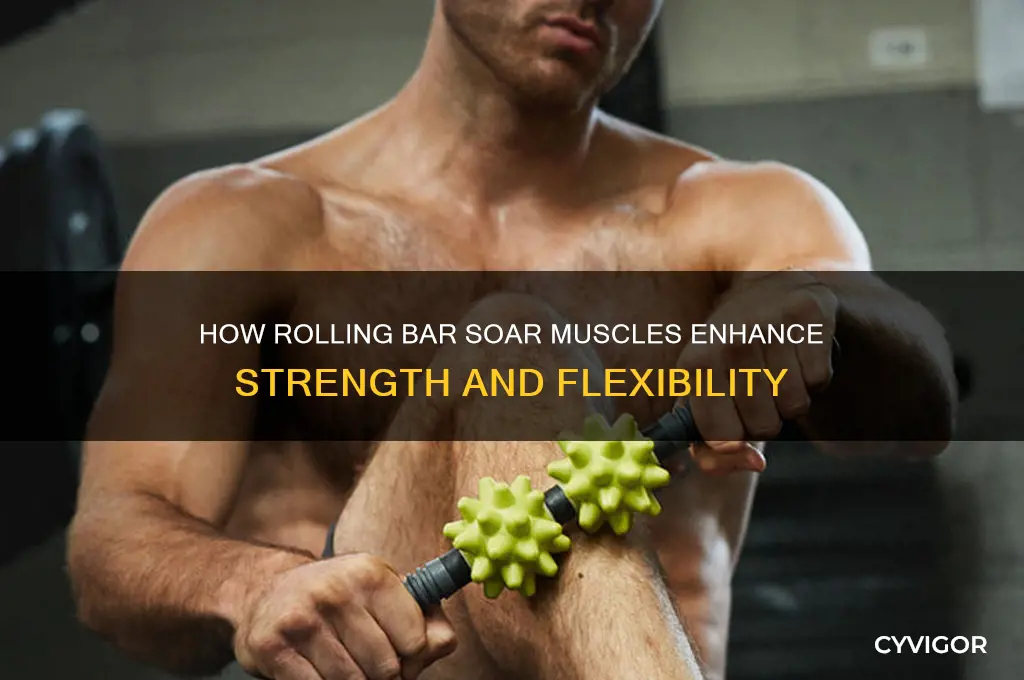 how does rolling bar soar muscles work