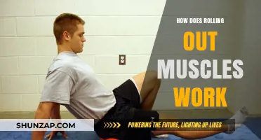 Rolling Out Muscles: How Foam Rolling Relieves Tension and Enhances Recovery