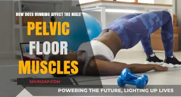 Strengthening the Core: Running's Impact on Male Pelvic Floor Muscles