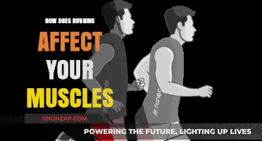 The Impact of Running on Muscle Health and Performance