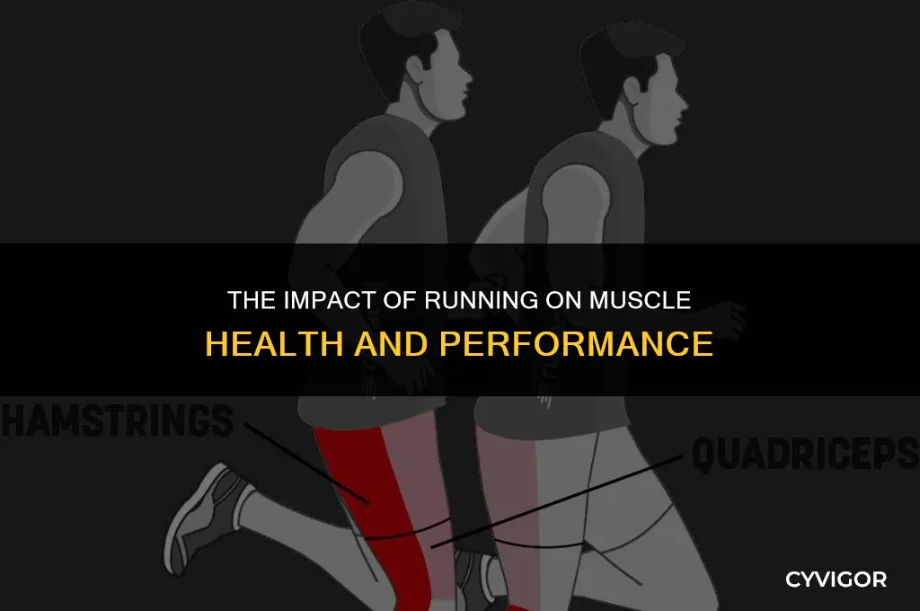 how does running affect your muscles