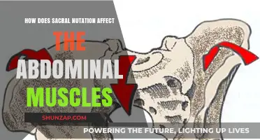 Exploring the Impact of Sacral Nutation on Abdominal Muscle Engagement