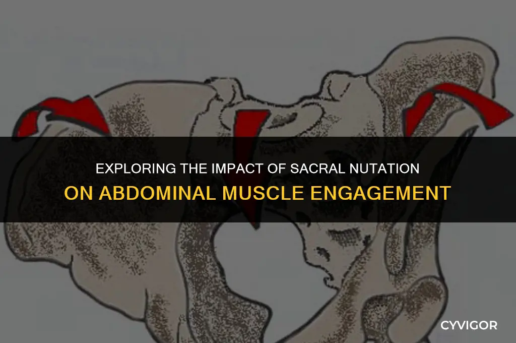 how does sacral nutation affect the abdominal muscles