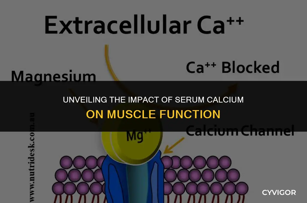 how does serum calcium affect muscle