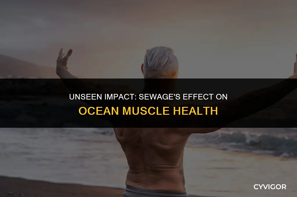 how does sewage affect muscles in the ocean