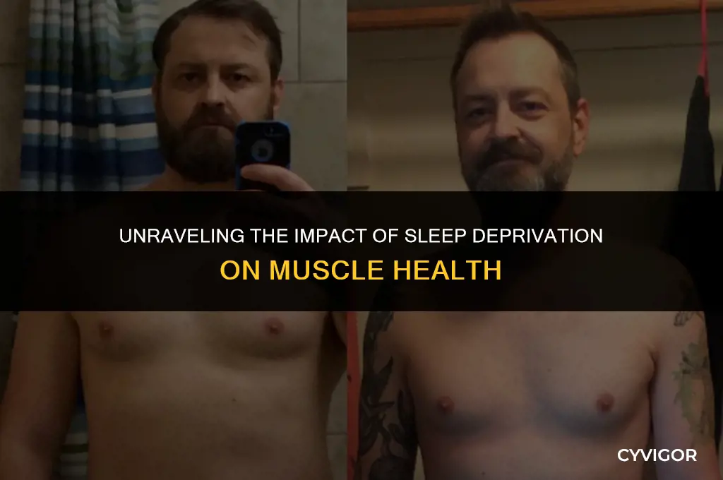 how does sleep deprivation affect muscles