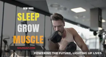 Sleep and Muscle Growth: Unlocking the Science Behind Rest and Recovery
