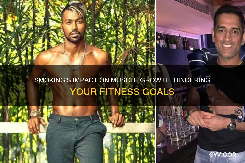 how does smoking affect muscle gains