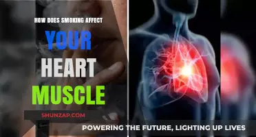 The Hidden Dangers: Smoking's Impact on Your Heart Muscle