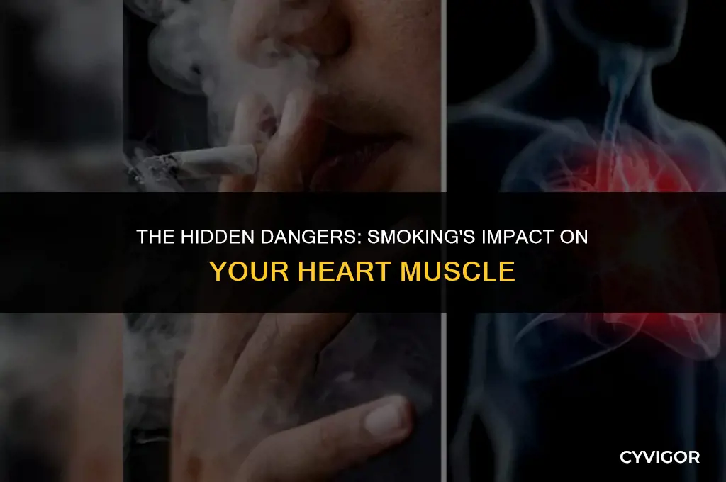 how does smoking affect your heart muscle