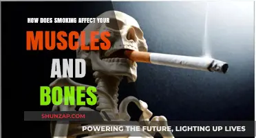 The Hidden Impact: Smoking's Effects on Muscles and Bones