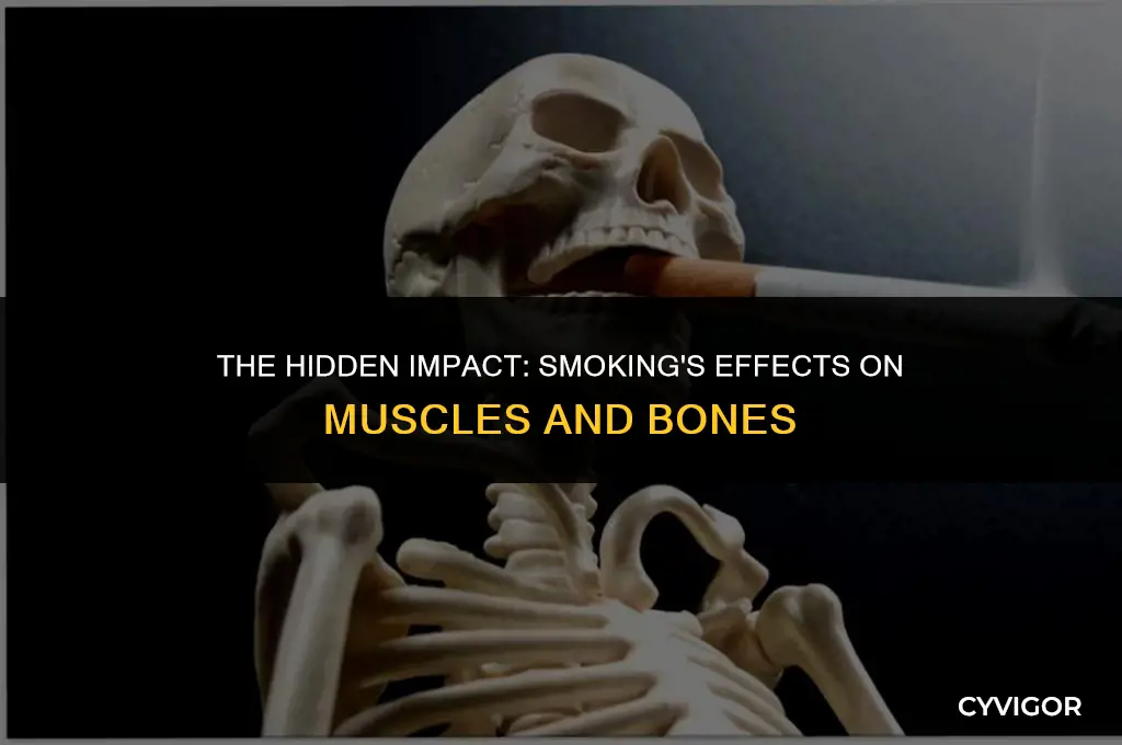 how does smoking affect your muscles and bones