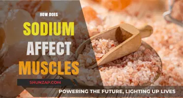 Unveiling the Impact: Sodium's Role in Muscle Function and Health