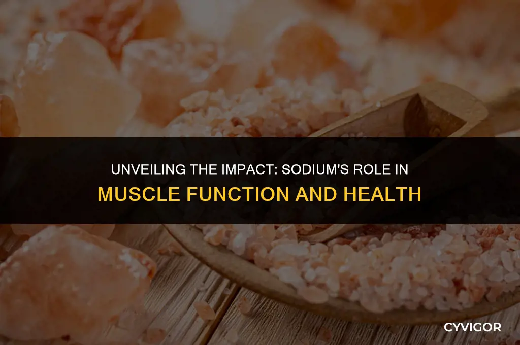 how does sodium affect muscles