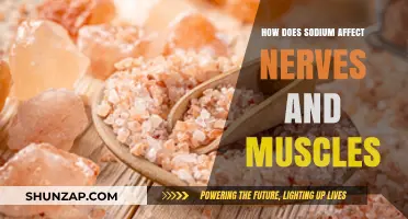 Unveiling the Impact: Sodium's Role in Nerve and Muscle Function