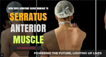 Injury Insights: Serratus Anterior Damage Causes