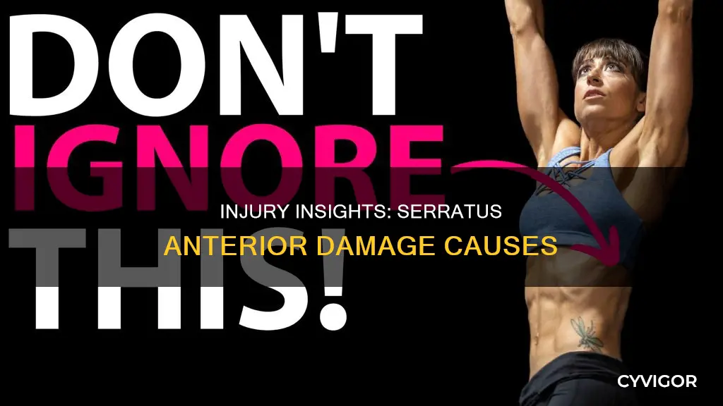 how does someone cause damage to serratus anterior muscle