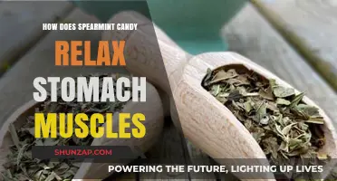 Spearmint Candy's Soothing Effect: Relaxing Stomach Muscles Naturally