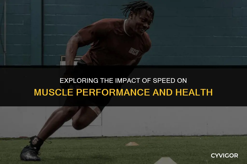 how does speed affect muscles
