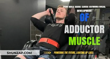 Squats: Asymmetrical Adductor Development and How to Fix It