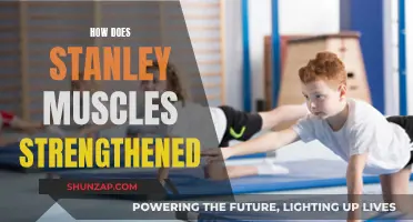 Stanley's Muscle Strength: Unlocking the Power