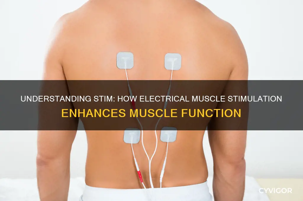how does stim work on muscles