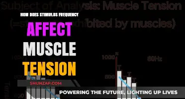 Exploring the Impact of Stimulus Frequency on Muscle Tension
