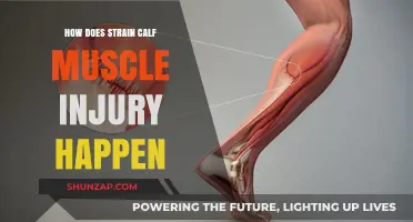 Understanding Calf Muscle Strains: Causes, Symptoms, and Prevention Tips