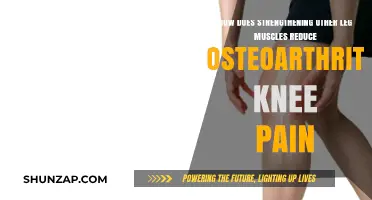 Strengthening Leg Muscles: A Key to Reducing Knee Osteoarthritis Pain