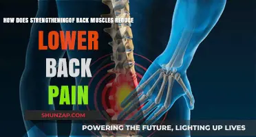 Empower Your Back: How Strengthening Muscles Eases Lower Back Pain