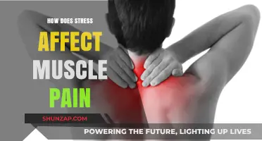 Stress and Muscle Pain: Understanding the Mind-Body Connection