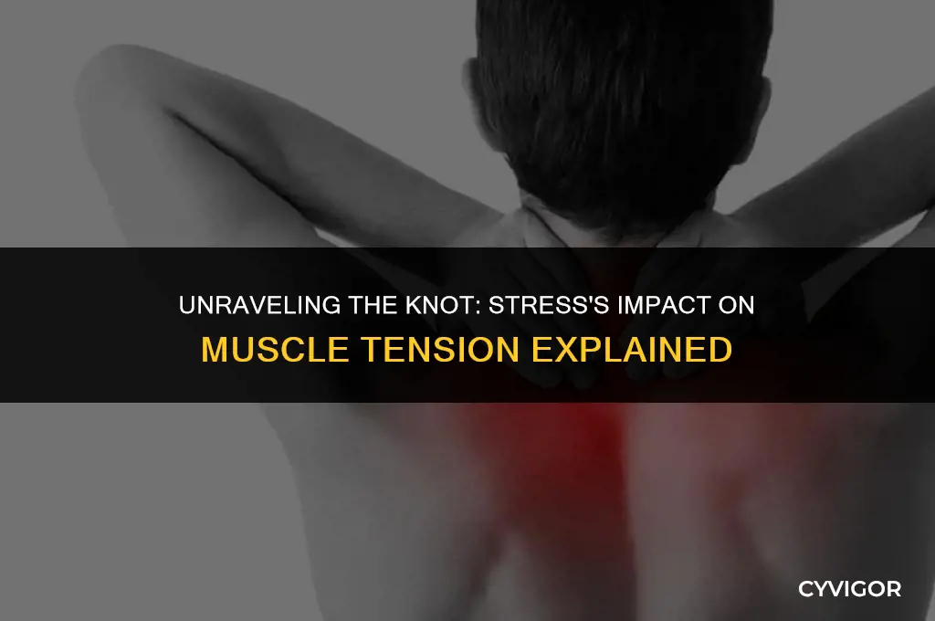 how does stress affect muscle tension