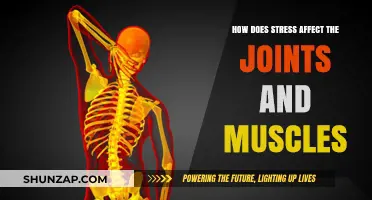 Unraveling the Impact: Stress on Joints and Muscles