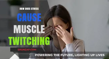 Stress and Muscle Twitching: What's the Link?