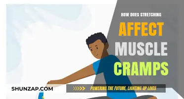 Unraveling the Mystery: How Stretching Impacts Muscle Cramps