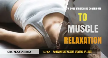 Stretching Techniques for Muscle Relaxation: Unwind and Release Tension