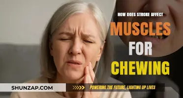 Understanding Stroke's Impact on Chewing Muscles: A Comprehensive Guide