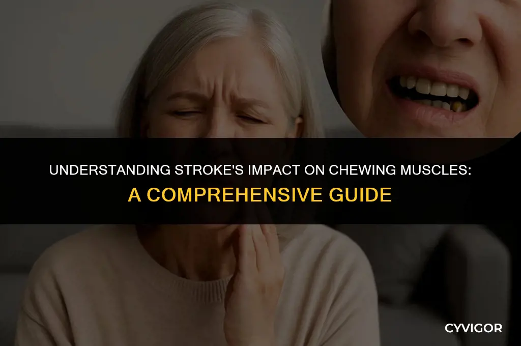 how does stroke affect muscles for chewing