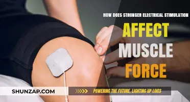 Exploring the Impact of Enhanced Electrical Stimulation on Muscle Strength