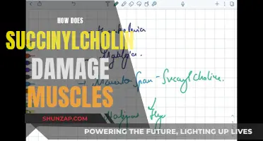 The Dark Side of Succinylcholine: Muscle Damage Explained