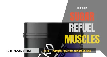 Sugar's Role in Muscle Recovery and Performance