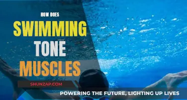Swimming for Muscle Tone: A Full-Body Workout