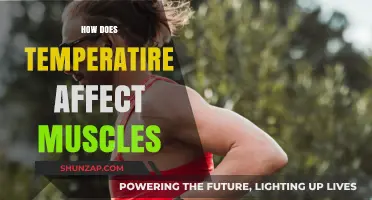 Exploring the Impact of Temperature on Muscle Performance and Health