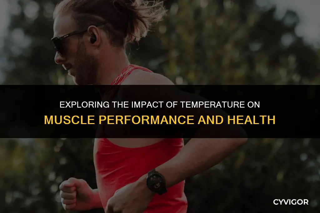 how does temperatire affect muscles
