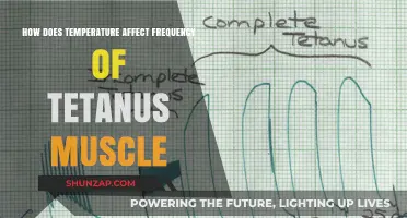 Exploring the Impact of Temperature on Tetanus Muscle Frequency