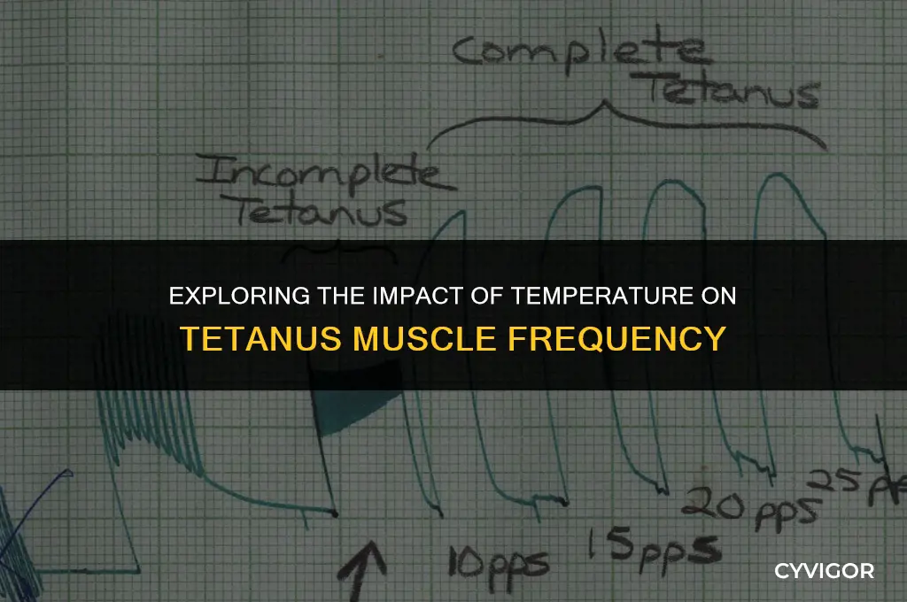 how does temperature affect frequency of tetanus muscle