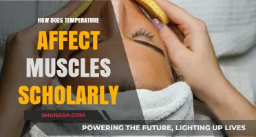 Exploring the Impact of Temperature on Muscle Function: A Scholarly Analysis