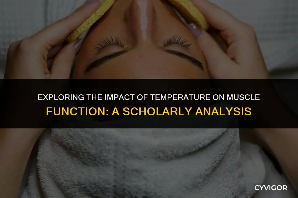 how does temperature affect muscles scholarly